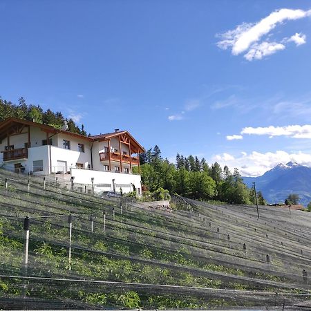 Pruensterhof Schenna Appartement Buitenkant foto
