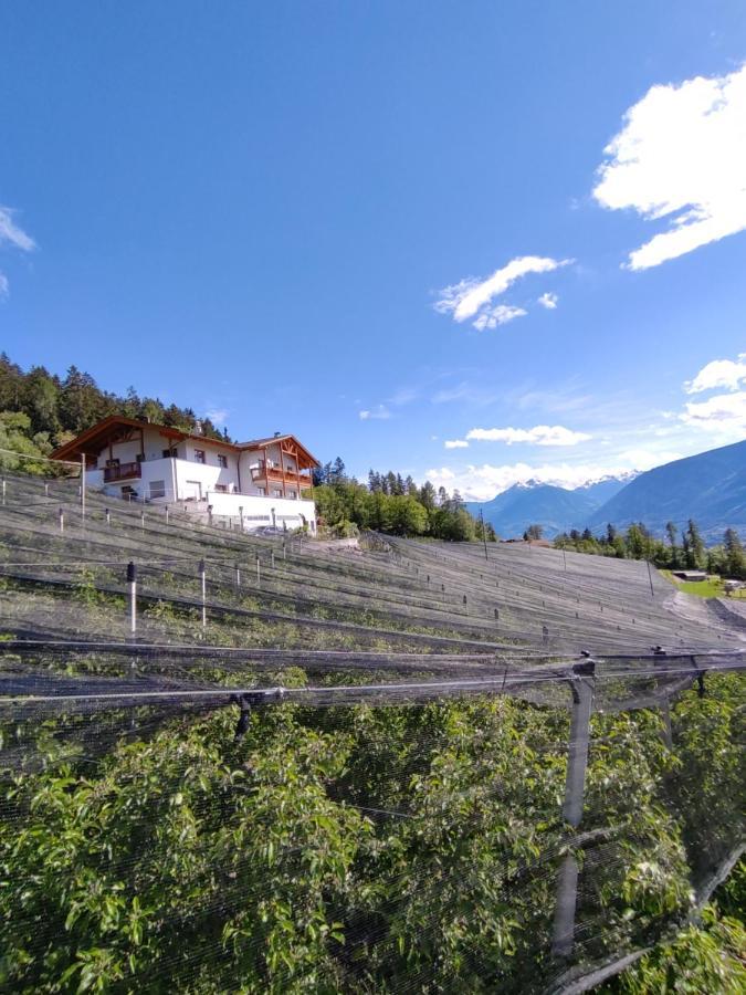 Pruensterhof Schenna Appartement Buitenkant foto