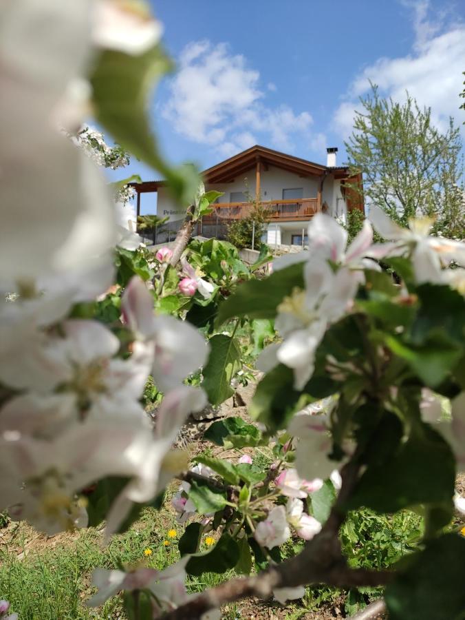 Pruensterhof Schenna Appartement Buitenkant foto