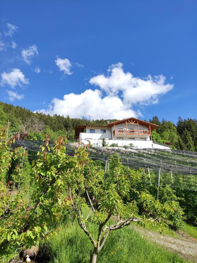 Pruensterhof Schenna Appartement Buitenkant foto