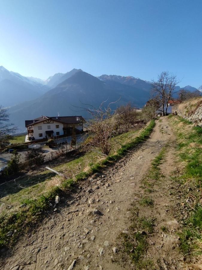 Pruensterhof Schenna Appartement Buitenkant foto