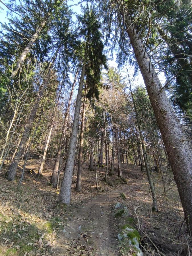 Pruensterhof Schenna Appartement Buitenkant foto