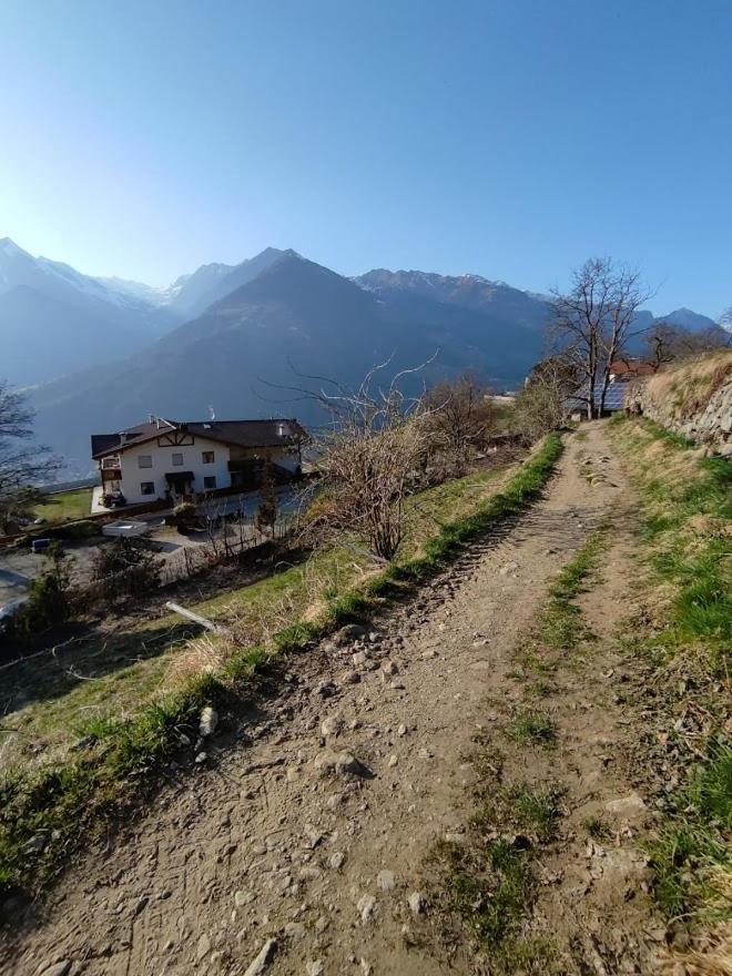 Pruensterhof Schenna Appartement Buitenkant foto
