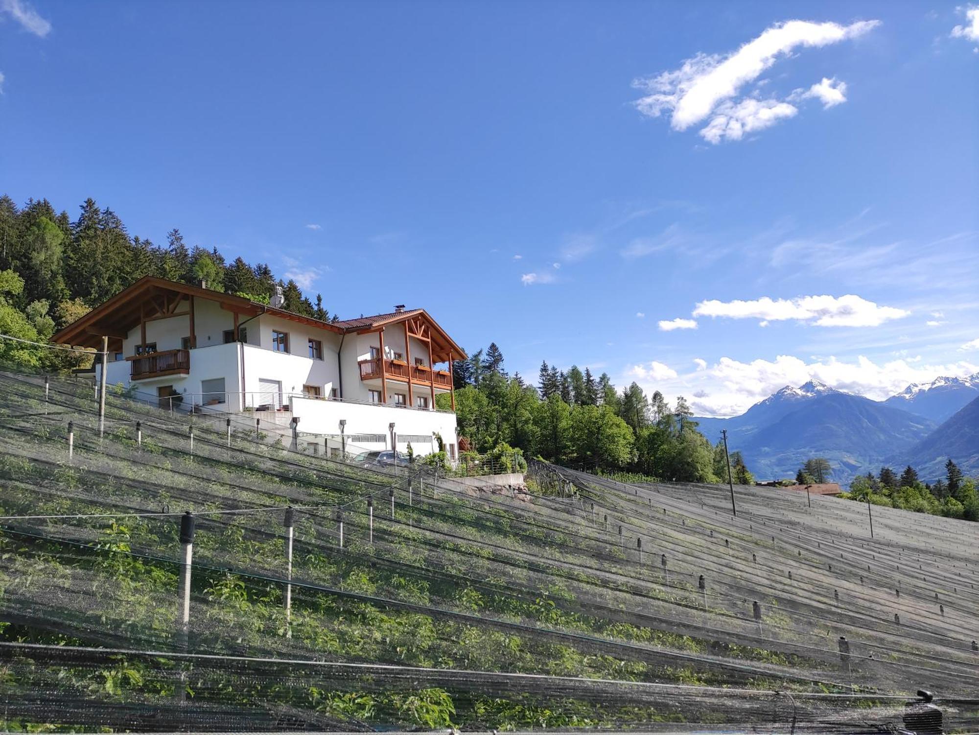 Pruensterhof Schenna Appartement Buitenkant foto