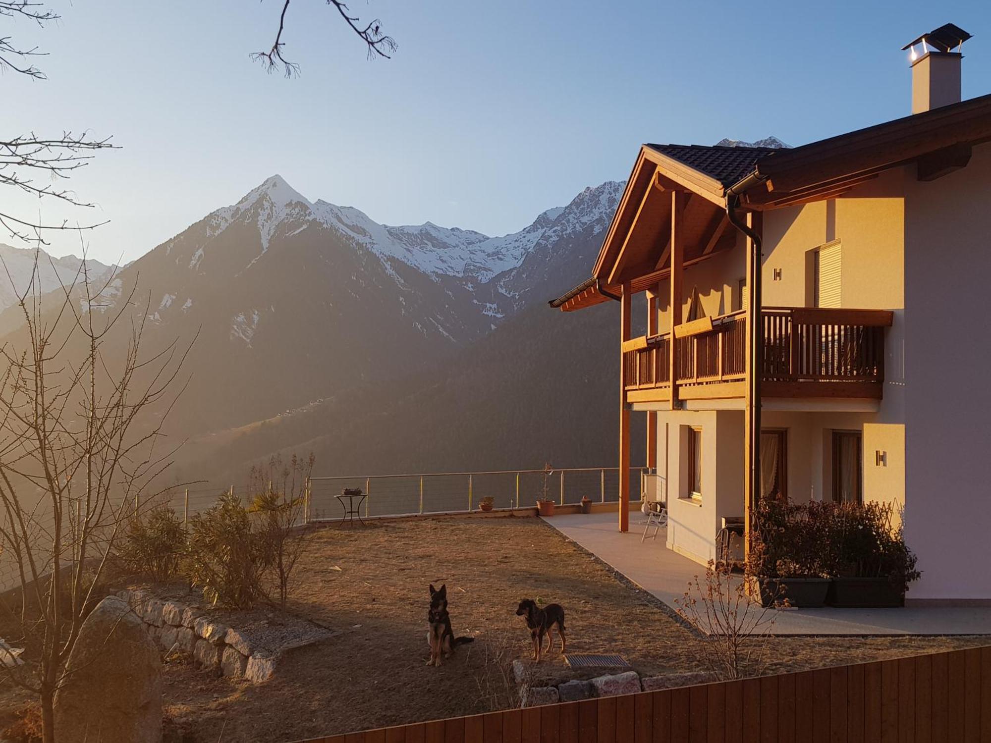 Pruensterhof Schenna Appartement Buitenkant foto