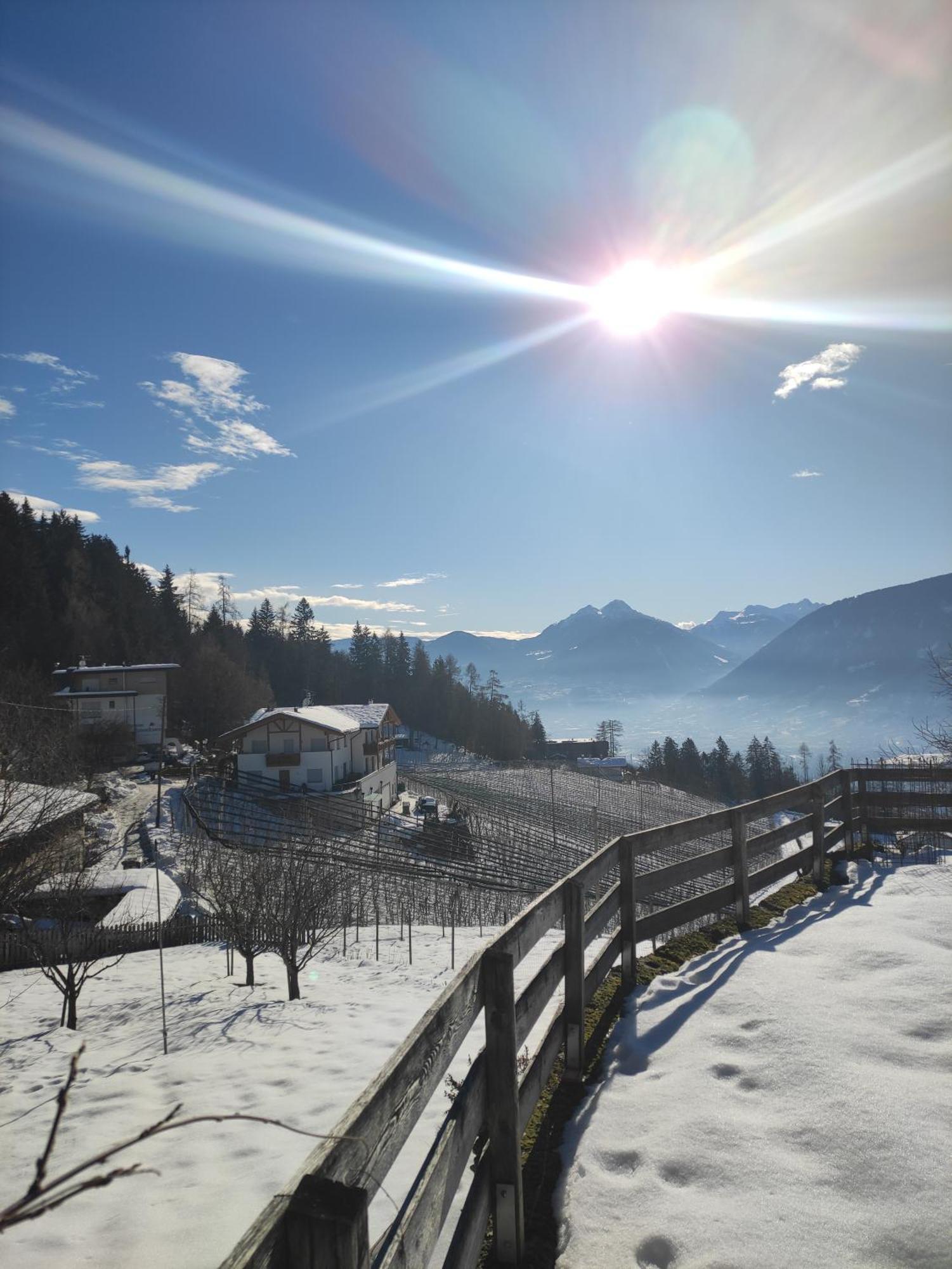 Pruensterhof Schenna Appartement Buitenkant foto