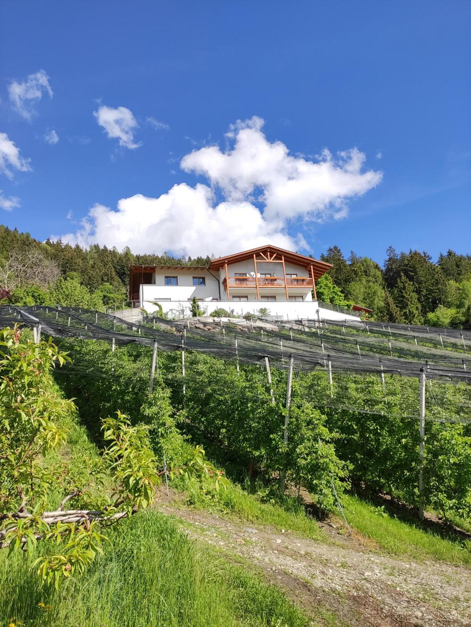 Pruensterhof Schenna Appartement Buitenkant foto