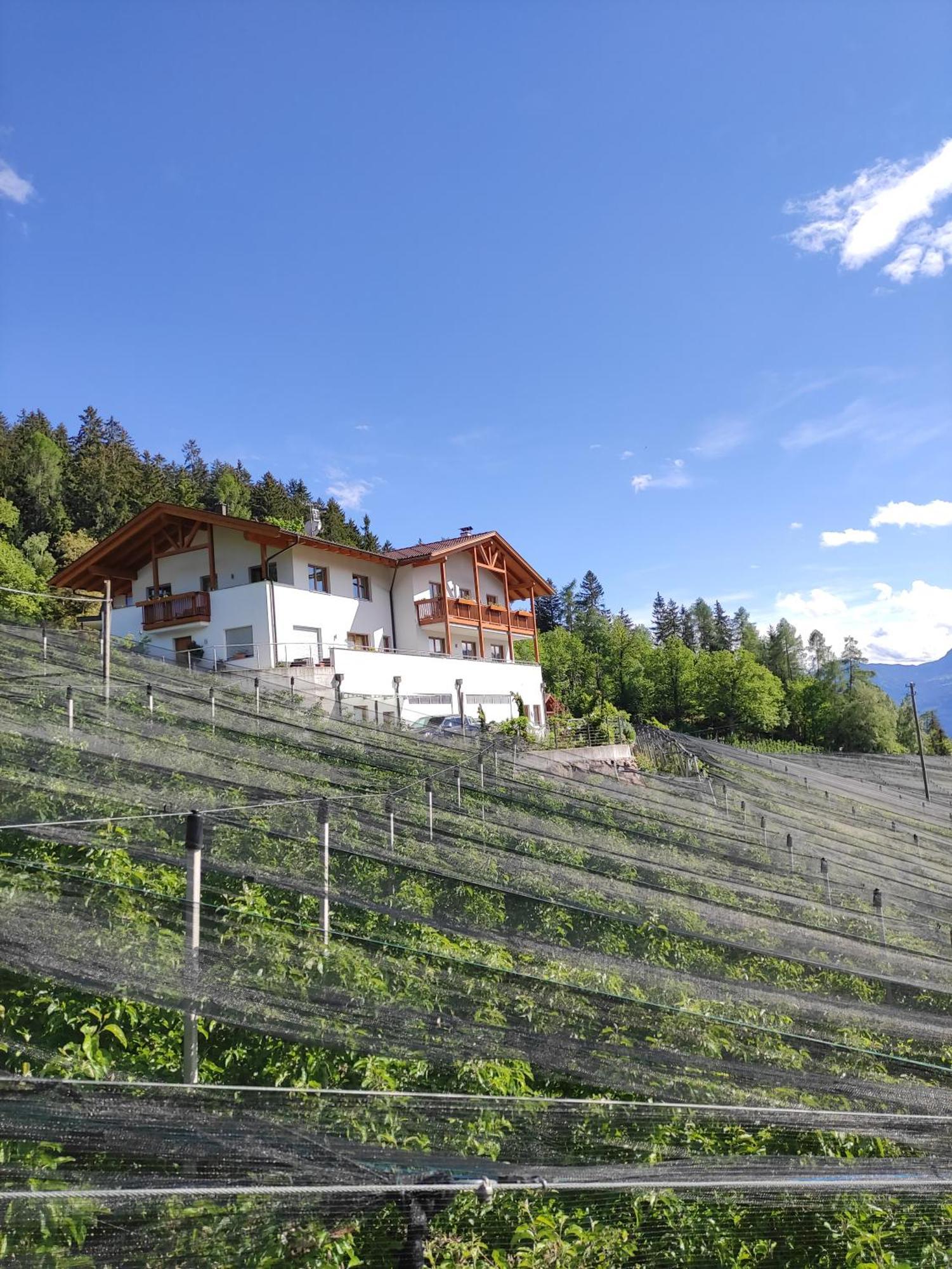 Pruensterhof Schenna Appartement Buitenkant foto